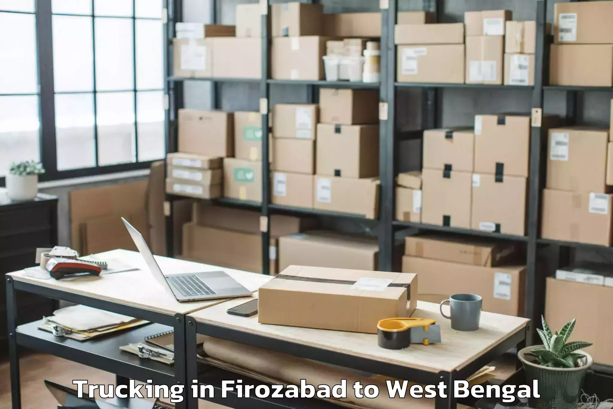 Professional Firozabad to Shantipur Trucking